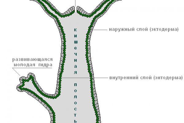 Кракен официальный сайт ссылка